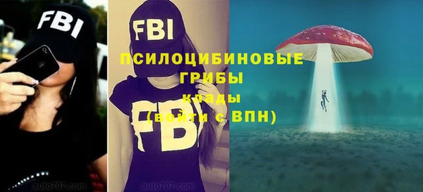 стаф Баксан
