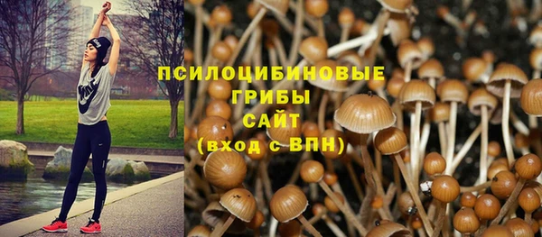 спайс Балабаново