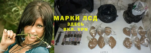 стаф Белокуриха