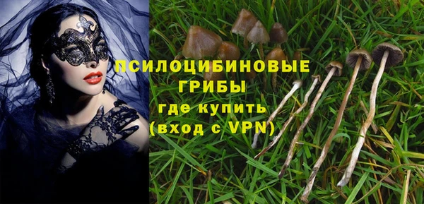 стаф Баксан